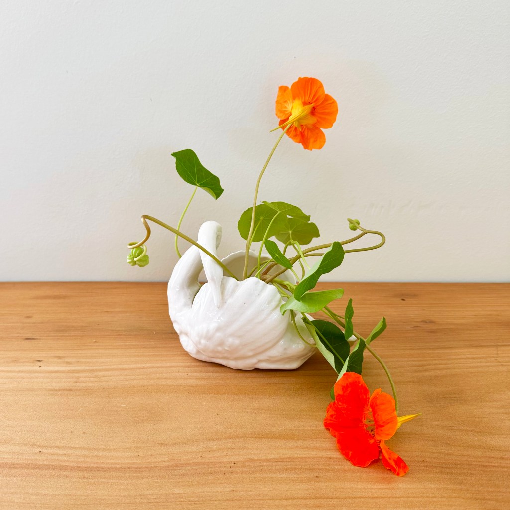 swan planters… and why I now&nbsp;care